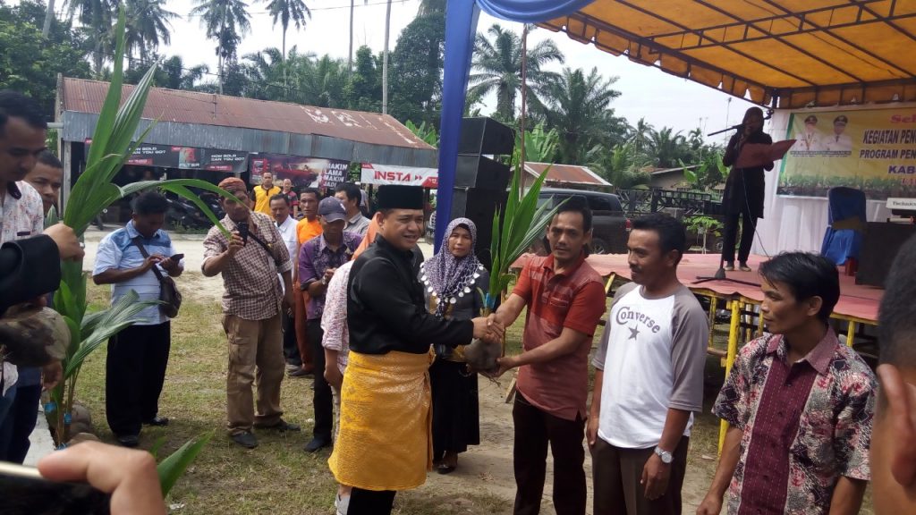 Proyek Pengadaan Bibit Kelapa di Dinas Peternakan dan Perkebunan Batubara Diduga Mark Up