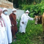 Hewan Qurban