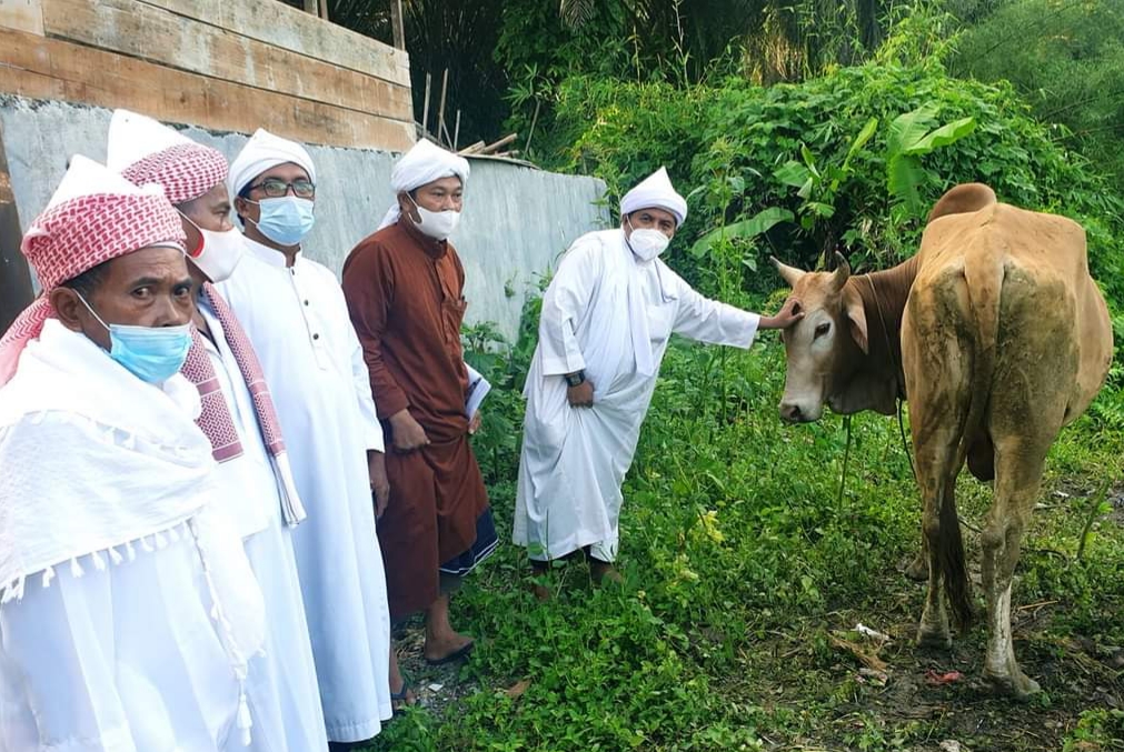 Hewan Qurban