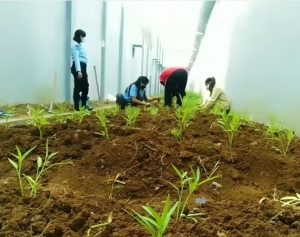 Warga Binaan LPP Bengkulu Kian Produktif di Masa Pandemi