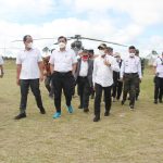 Tanaman Herbal