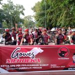 Gowes