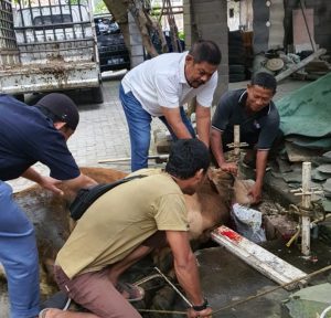 Rahudman Harahap Berbagi Daging dan Sembako Jelang Ramadhan 1443 H