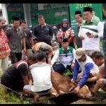 PKB Korban