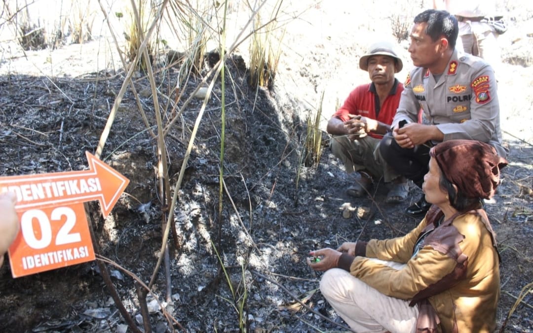 Pembakaran hutan