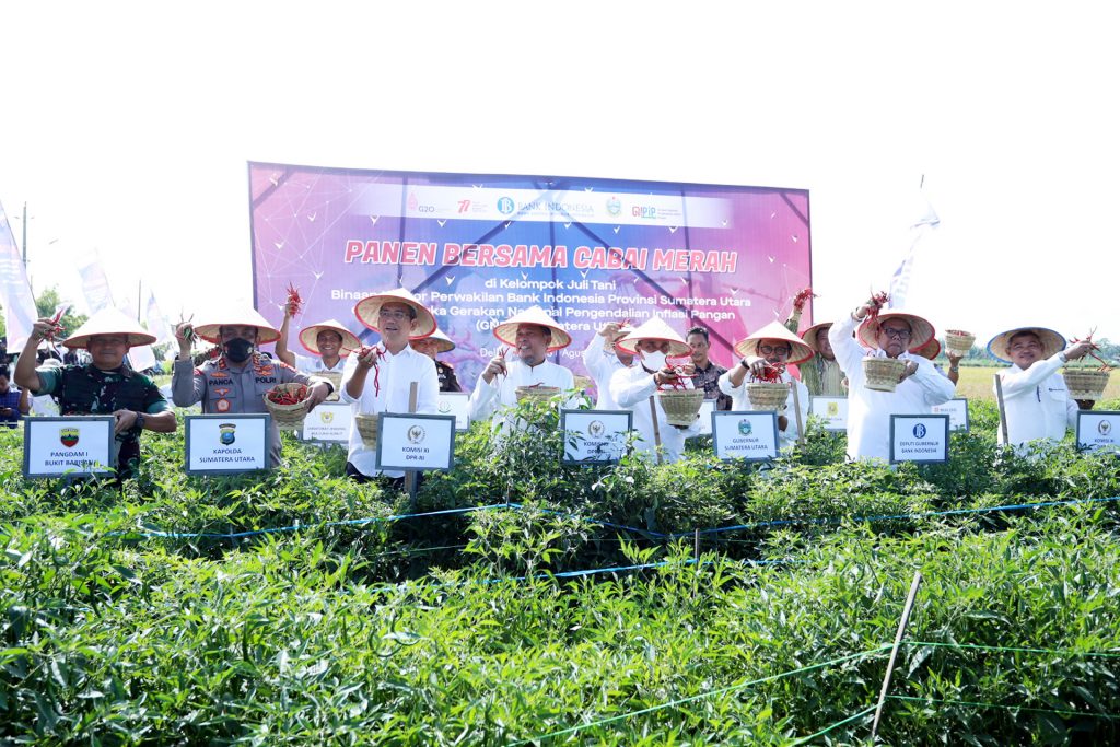 Edy Rahmayadi Sebut Produksi Cabai Sumut Surplus, Perlu Kendali Pemerintah Jaga Inflasi