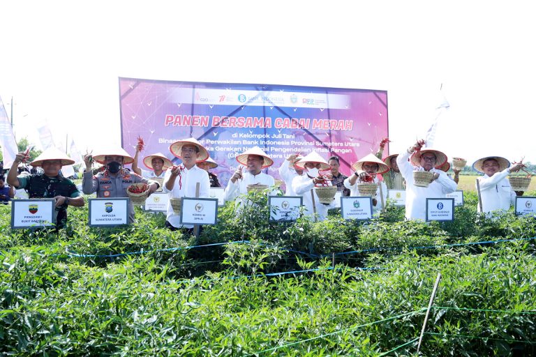 Edy Rahmayadi Sebut Produksi Cabai Sumut Surplus, Perlu Kendali Pemerintah Jaga Inflasi