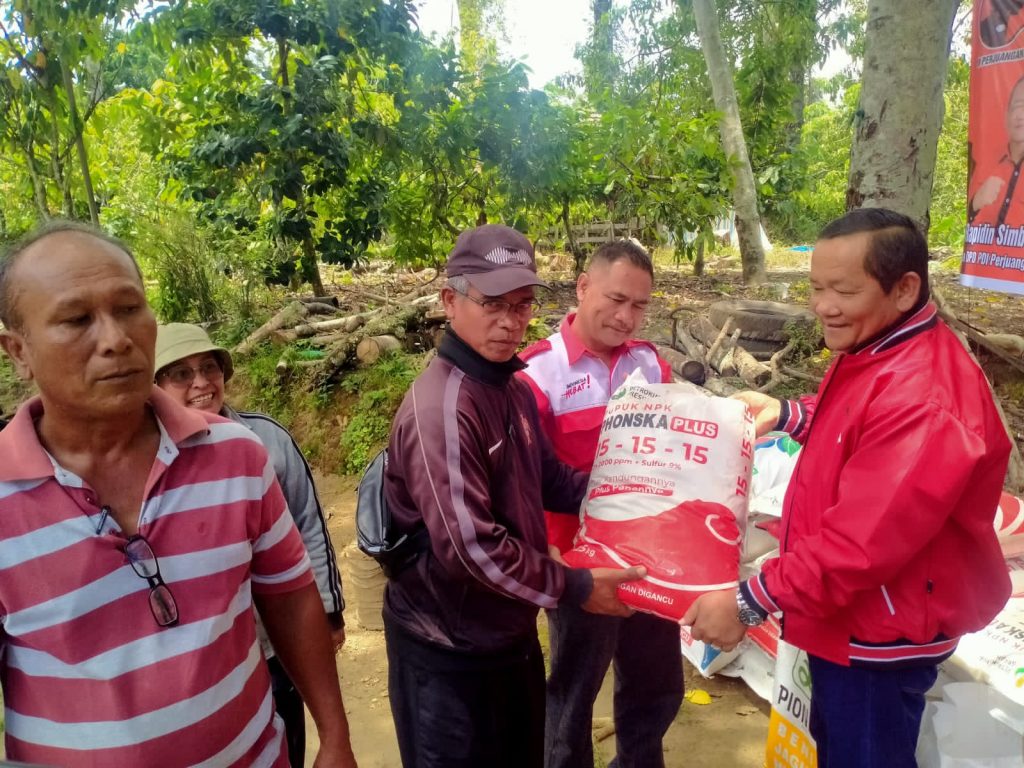 Peduli Petani, PDI Perjuangan Sumut Langsung Turun ke Ladang Bagikan Bibit dan Pupuk