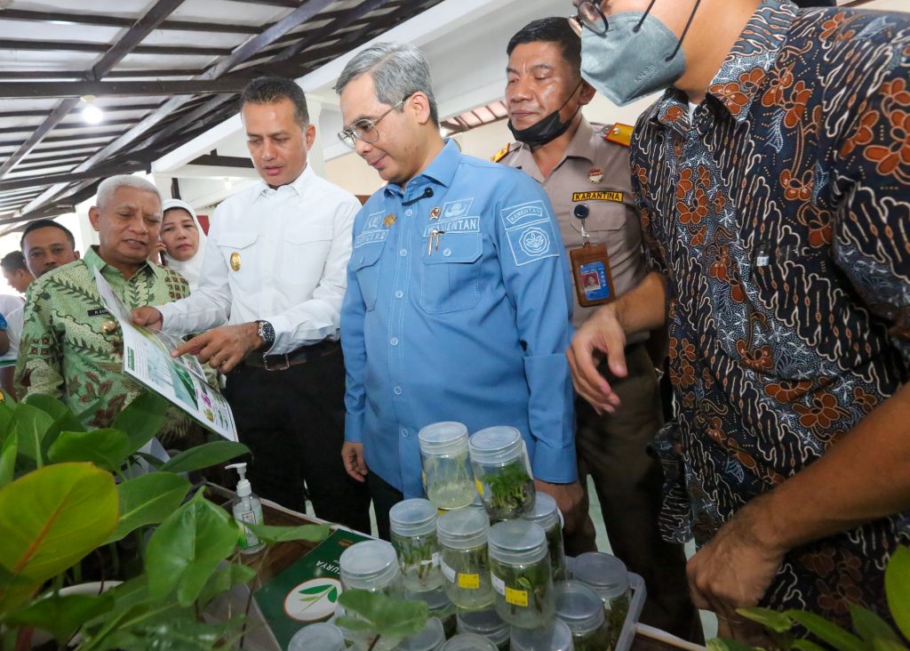 Wamentan Ingatkan Pentingnya Hilirisasi Produk Pertanian Melalui BUMD