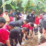 Tanam pohon