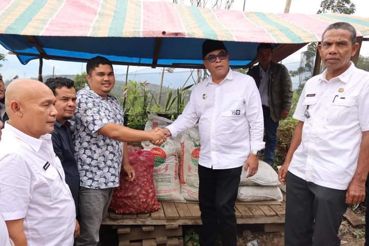 Bupati Madina Serahkan Bantuan Bibit Jahe Putih ke Petani Koptan Mawar