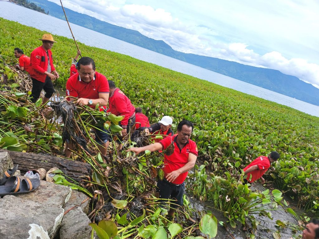 PDI Perjuangan Tanam Pohon dan Bersikan Enceng Gondok di Danau Toba