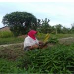 Ibu Mariati
