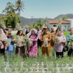 Panen bawang dan jeruk