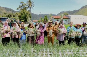 Panen Bawang dan Jeruk di Humbahas, Nawal Ajak Masyarakat Jaga Ketahanan Pangan