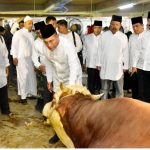 Pemprov Sumut Sebar 150 Ekor Sapi Kurban di Seluruh Sumut