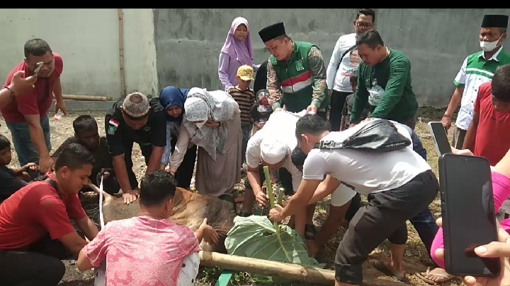 PKB Medan Berkurban