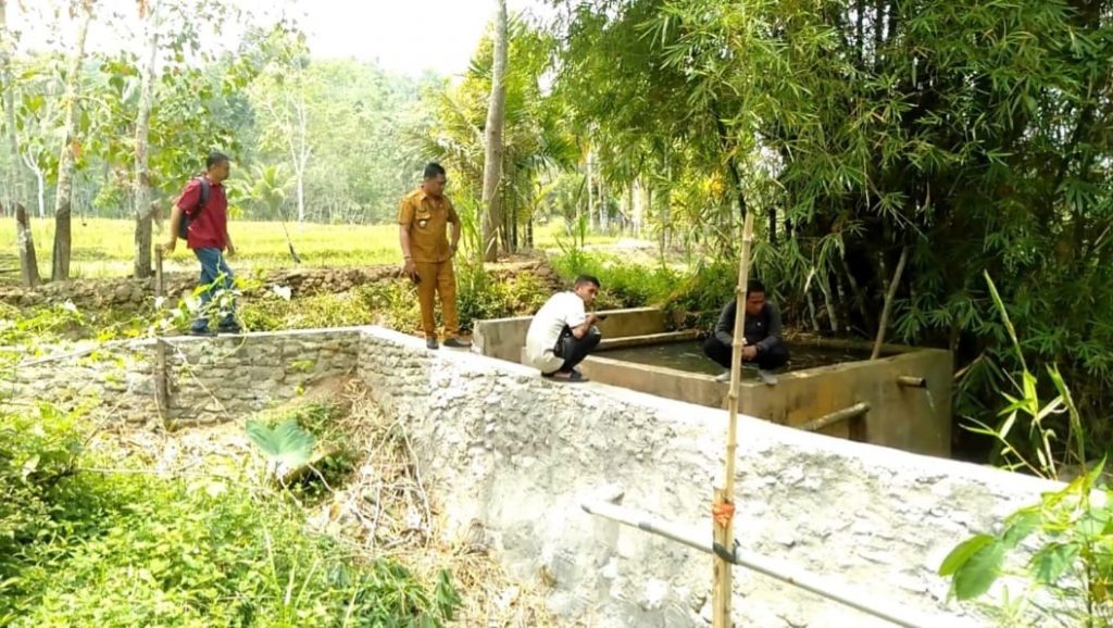 Camat Bukit Malintang Lakukan Monitoring di Empat Desa