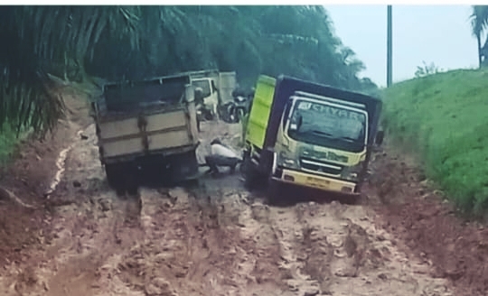 Akses Transportasi ke Sosa Timur Hancur, Warga Angkut TBS ke Riau