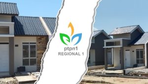 Optimalisasi Aset- Aset Potensial, Menjadi Fokus Utama PTPN 1 Regional 1