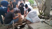 Idul Adha 1445 H, Rahudman Harahap dan Keluarga Berkurban 2 Lembu dan 2 Kambing