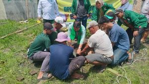 Rayakan Idul Adha 1445 H, PKB Kota Medan Potong 2 Ekor Lembu Kurban 