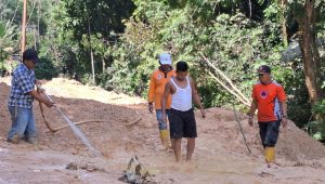 BPBD Madina Bersihkan Timbunan Material Longsoran pada Jalan Penghubung Tiga Desa di Kecamatan Tambangan