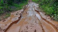 Tidak Ada Perhatian dari Pemkab Palas, Warga Barumun Barat Mengeluh Jalan Hancur