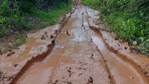 Tidak Ada Perhatian dari Pemkab Palas, Warga Barumun Barat Mengeluh Jalan Hancur