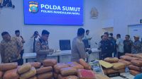 Polres Madina Ungkap Kasus Narkotika 154 Kilogram Ganja, Satu Tersangka Ditangkap