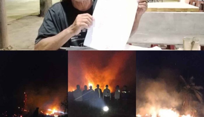 Kebun Sawit KTS Makmur Dibakar OTK Pasca Laporan Penyerobotan Lahan