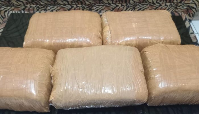 Polres Binjai Tangkap Dua Pemuda Pengedar Ganja Jaringan Aceh-Binjai