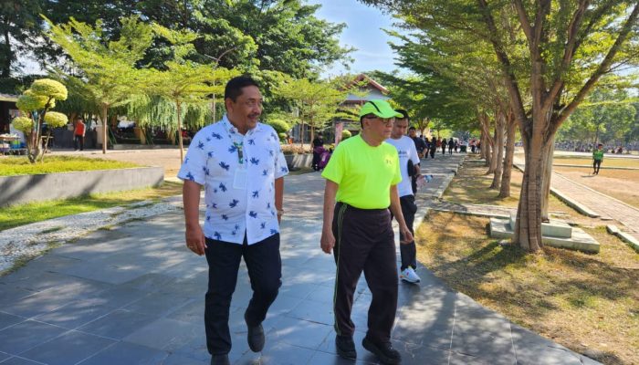 Akbar Tanjung Instruksikan Mantan Anggota DPR RI Baharuddin Aritonang Menangkan Dolly-Parulian