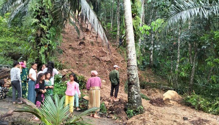 Padanglawas Dilanda Banjir Bandang dan Tanah Longsor: Satu Tewas, Empat Masih Hilang