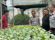 Kalapas Medan Pantau Budidaya Hidroponik untuk Ketahanan Pangan