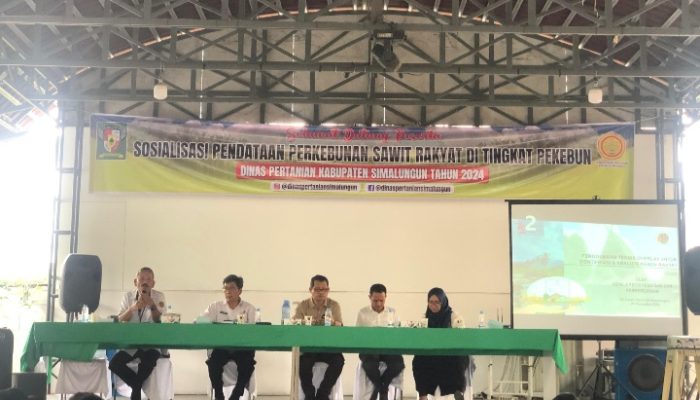 Kantor Pertanahan Simalungun Sosialisasikan Pendataan Perkebunan Sawit Rakyat