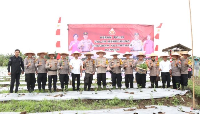 Kapolres Binjai Tanam Bibit Cabai Dukung Program Ketahanan Pangan Presiden
