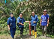 Pemeriksaan Tanah untuk HGU PT Jerenson Sukses Bersama Dilaksanakan di Labuhanbatu Selatan