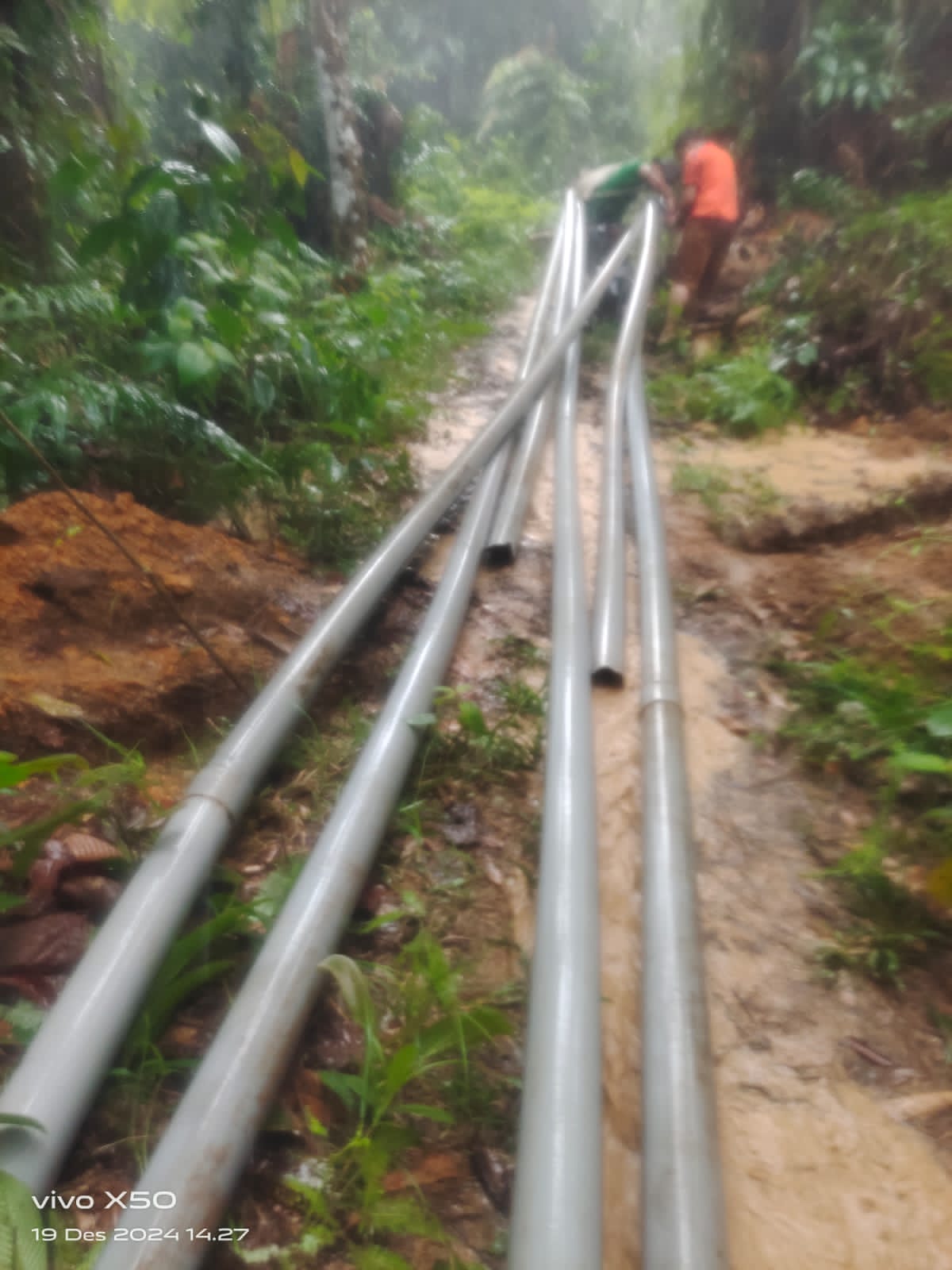 Proyek Pipanisasi