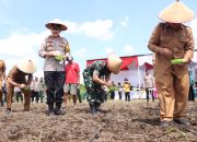 Polres Binjai Dukung Program Ketahanan Pangan melalui Penanaman Jagung Serentak