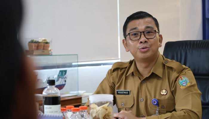 Dishub Sumut Siapkan Mudik Lebaran 2025: Pastikan Jalur Aman, Cek Kendaraan, dan Mudik Gratis Tiga Moda