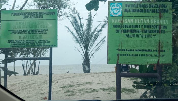 Poldasu Tindaklanjuti Kasus Penguasaan Kawasan Hutan Desa Regemuk, Minta Keterangan Ketua Kelompok Tani Pantai Labu Forest Tree