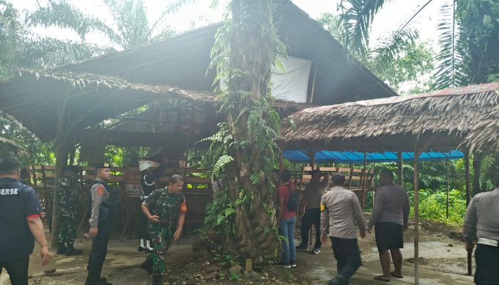 Arena Judi Sabung Ayam di Pancur Batu Digerebek, Denpom I/5 Medan Turun Tangan