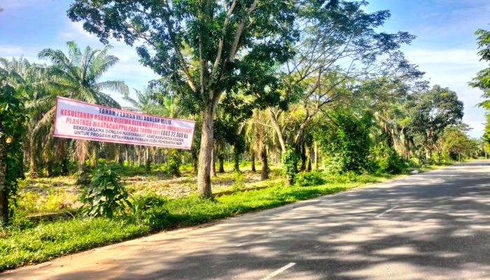 Warisan Yang Dirampas: Kesultanan Asahan Tuntut Keadilan Atas Tanah Eks HGU PT BSP