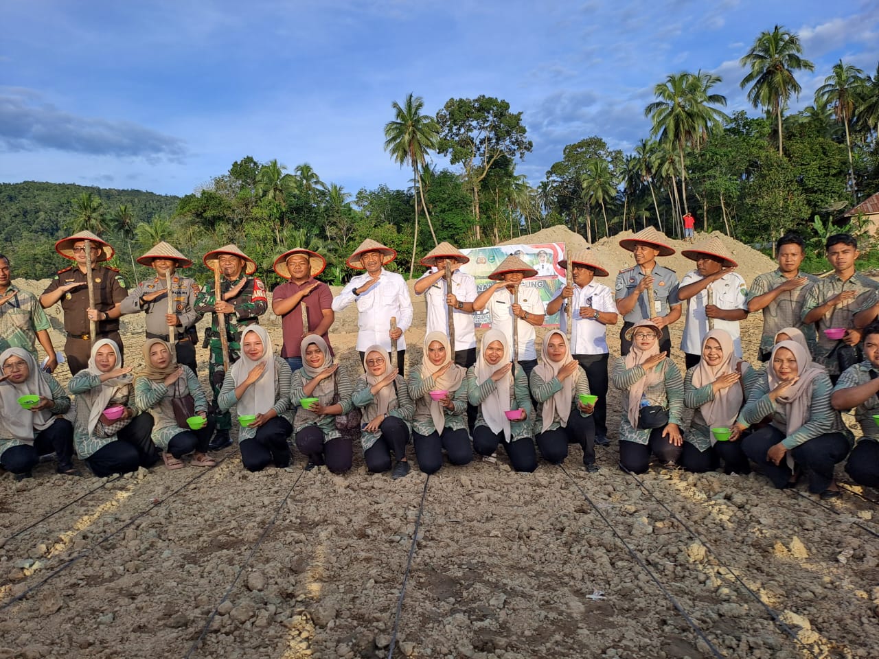 Panen Jagung