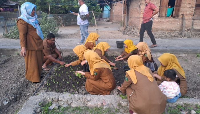 PKK Pokja III Madina Lakukan Pembinaan Pemanfaatan Lahan Pekarangan di Desa Adian Jior, Panyabungan