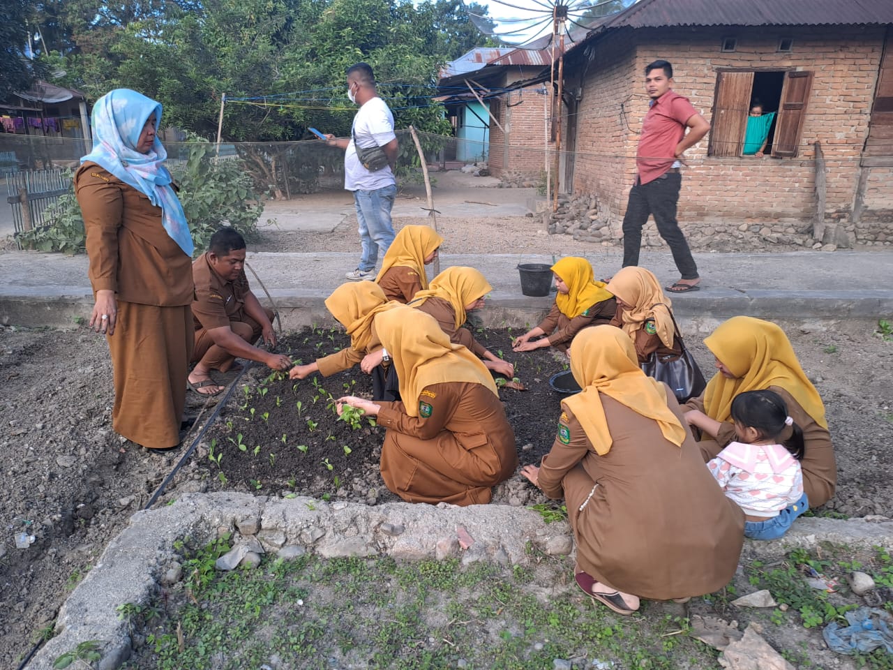Manfaatkan Pekarangan