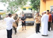 Wali Kota Binjai Serahkan Bantuan Sapi Kurban dari Presiden RI