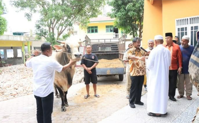 Sapi Kurban dari Presiden RI