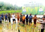 Bupati Madina Resmikan Program Peningkatan Produktivitas Pertanian di Kecamatan Siabu
